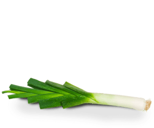 Leek